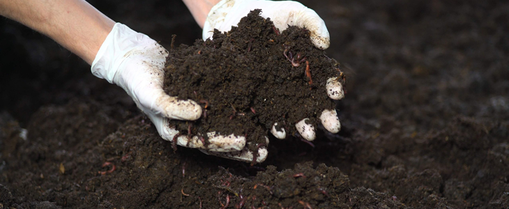 Gübre Üretimi Sektörün Geleceği ve Teknolojik Yenilikler